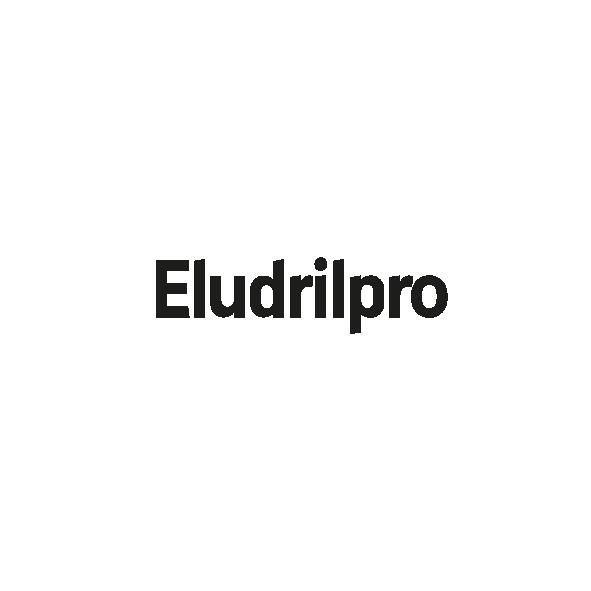 OC_LOGO ELUDRIL PRO_NOIR